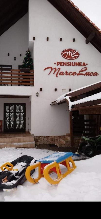 Pensiunea Marceluca Hodosa Εξωτερικό φωτογραφία