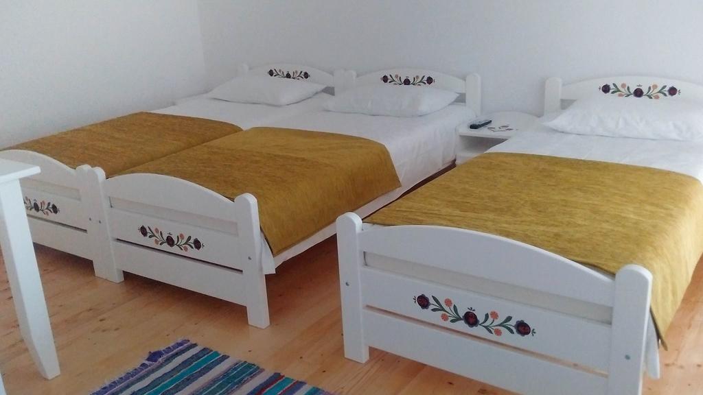 Pensiunea Marceluca Hodosa Εξωτερικό φωτογραφία
